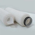 Economical Polypropylene Capsule Filter Cartridge